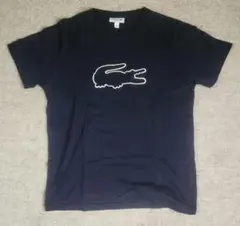 美品、Lacoste ネイビー Tシャツ Mサイズ　コットン100%