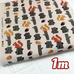 秋の森の…リスとどんぐり…綿麻キャンバス1m
