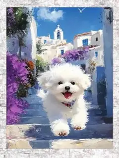 キャンバス　アート　ポスター　マルチーズ　犬　地中海　油絵風
