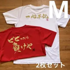 ラグビーRyu Tシャツ Mサイズ2枚セット