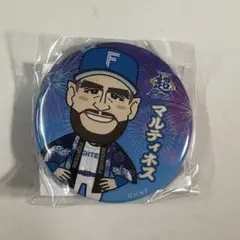 マルティネス　ファイターズガチャ　超夏祭りver 缶バッジ