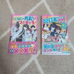 野いちごジュニア文庫　2冊セット