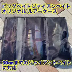 ジャイアントベイト対応 コンパクト ルアーケース ビッグベイトを便利に持ち運べる