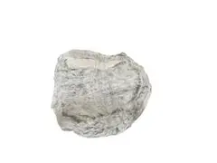 Item thumbnail for item cc013b93-c0a8-4199-8241-348ba4037704
