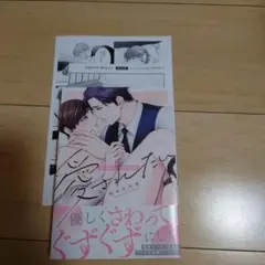 BL※即購入不可