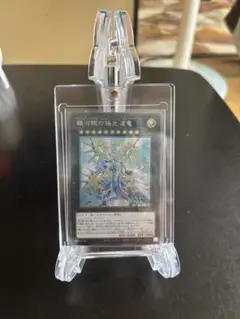 【大特価‼️】※訳あり 遊戯王 銀河眼の極光波竜 シークレット エクシーズ