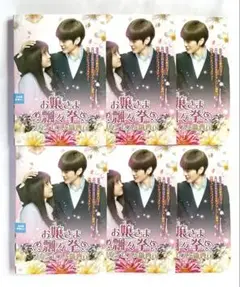 お嬢さま飄々拳　プリンセスと御曹司　DVD 全12巻