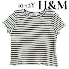 新品 H&M ボーダー フリル袖Tシャツ 10-12Y 140cm前後