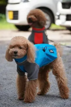 Item thumbnail for item 511a0d49-142c-42c7-8def-76fa55e51cc1