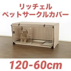 Item thumbnail for item 07f5bc80-aa5c-46bc-98d5-9a55b842da80