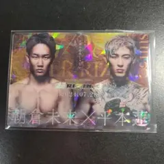 Item thumbnail for item d609a5a5-4f71-4c3a-b2ae-4541d60d7fbd