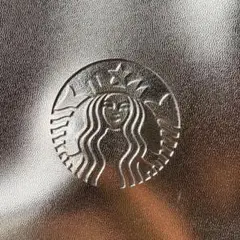 ★お知らせ★お値下げ★スタバ　ホリデーバック2024（未使用・タグ付き）