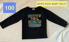 Item thumbnail for item 46c60e81-8ee6-42d2-b61a-07b53b4c8d12