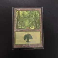 MTG ユーロランド　森2枚セット 2025年最新】ユーロランド mtgの人気アイテム - メルカリ