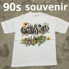 90s L スーベニア ビンテージ カラフル tシャツ