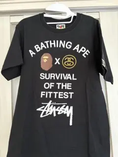 A BATHHNG APE ×Stussy Tシャツ　サイズS