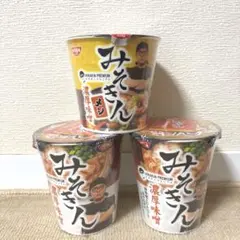 みそきん10個　みそきんメシ6個　計16個 みそきん10個みそきんメシ6個計16個