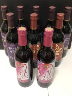 サッポロワイン 有機栽培ワイン 10本セット