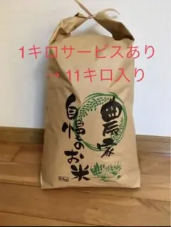 令和4年度 福井県産 新米コシヒカリ 10キロ 精米済み 1キロサービスあり