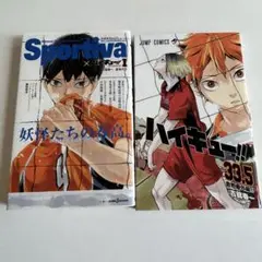 ハイキュー　ショーセツバン　1巻　ハイキュー33.5巻