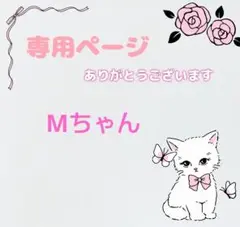 サンキャッチャー２点