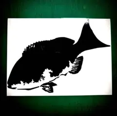 Item thumbnail for item f26b8404-b52a-4905-a04d-0f9550a42264