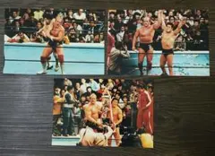 2025年最新】MSGタッグリーグ戦の人気アイテム - メルカリ