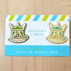 ARASHI 10-11 TOUR ピンバッジセット