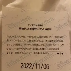 ディズニー ハッピーエントリー11月6日