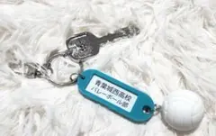 【本日18時まで価格】ハイキュー 高校名付き鍵チャーム　青葉城西
