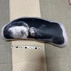 Item thumbnail for item 2bfe148f-d423-450e-8a81-9394411a7c56