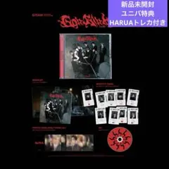 &TEAM Go in Blind (月狼) [通常盤] 新品未開封