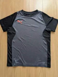 PUMA プラクティスシャツ 160 半袖