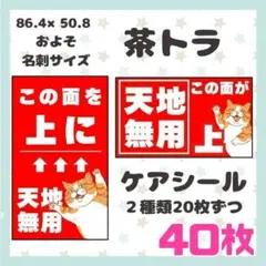 【茶トラ】ケアシール　注意喚起　天地無用　40枚 シンプル　動物　ネコ