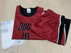 BIRDOG 球技大会 犬軍 ひゅうが ユニフォーム