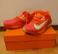 Nike AIR ZOOM RIVAL FLY4 ライバルフライ4