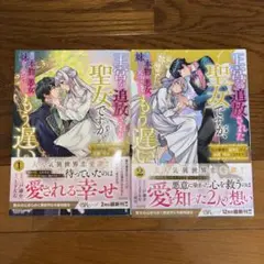 王宮を追放された聖女ですが、実は本物の悪女は妹だと気づいてももう遅い : 私は…