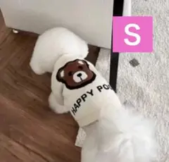 Item thumbnail for item e740511d-e9bc-4582-aab3-c20842ac937e