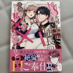 ドS騎士団長のご奉仕メイドに任命されましたが、私××なんですけど!?