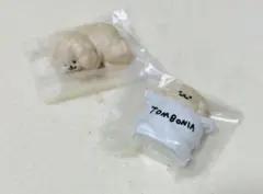 TomBonin 2点セット