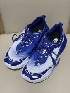 THE NORTH FACE Ultra Forward 28cm
