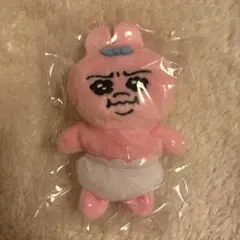 おぱんちゅうさぎ　かぷっこふれんず2【むっ】