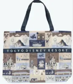 ディズニーランド　ディズニーリゾート　ディズニーシー　エコバッグ　エコバック