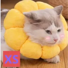術後 犬 猫 XSサイズ エリザベスカラー ひまわり