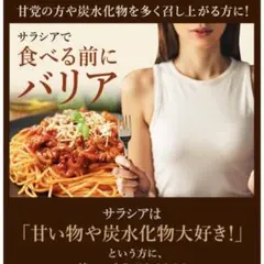 サラシア 炭水化物ブロック 菊芋 ダイエットサプリメント 約3ヵ月分