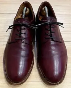 ALFREDO BANNISTER IN ビジネスシューズ 革靴 26.0㎝