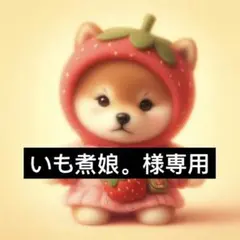 専用ページ