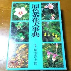 B 162              茶花大辞典     淡交社・  1～6月 B 162 茶花大辞典 淡交社・ 1～6月 B 162 茶花大辞典 淡