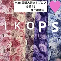 mao(即購入禁止！プロフ必読！)様 ご確認用　handmade