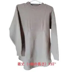 ✨格上げオシャレアイテム✨ベージュ 長袖ニット着丈73cm 袖丈45cm